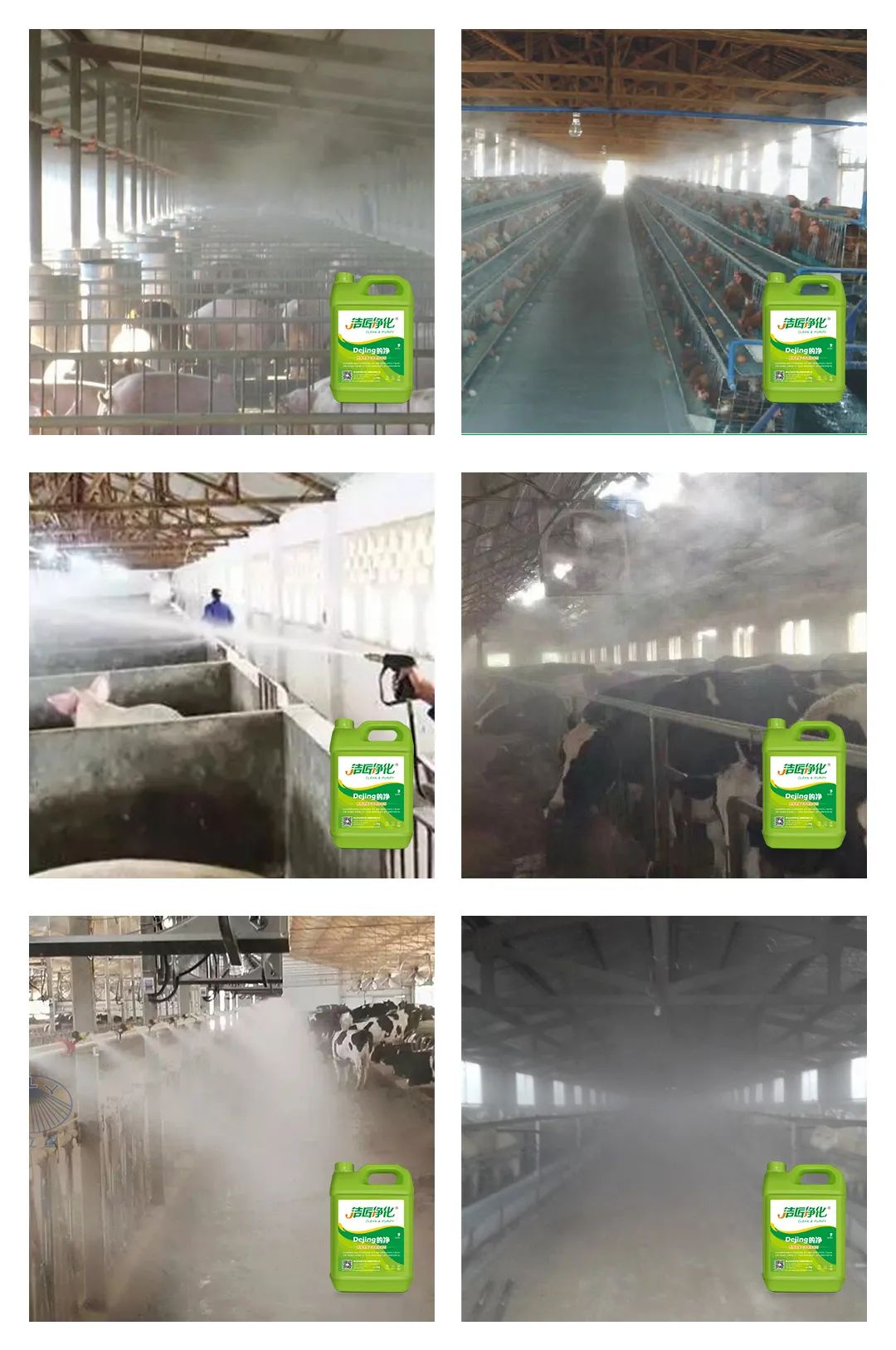 養殖場太臭，用Dejing的凈除臭劑迅速除臭！豬圈/雞場/牛場/羊圈....jpg