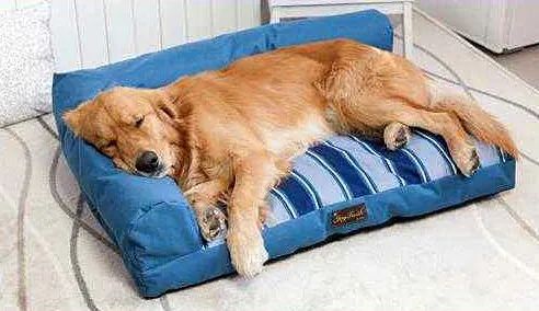 家居除味怎樣才省心?教你找到“異味盲區”!.jpg 家居除味怎樣才省心?教你找到“異味盲區”!.jpg